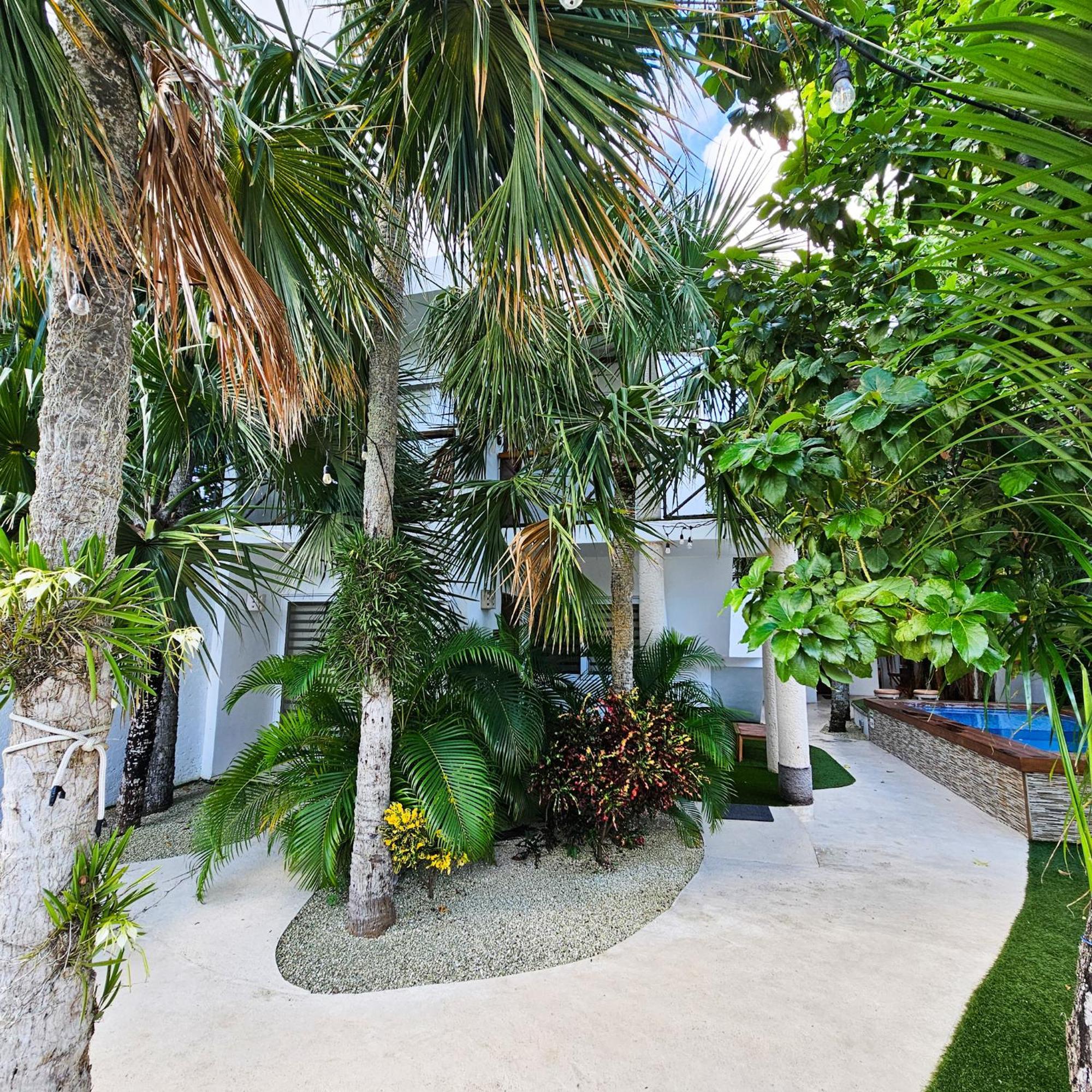 Sayu - Suites Косумель Экстерьер фото